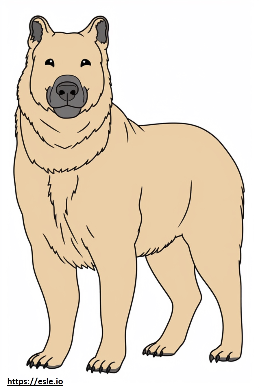 Norwegian Elkhound full body coloring page