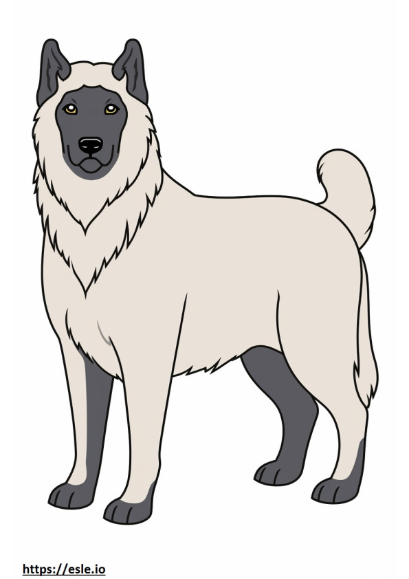 Elkhound norvegese a corpo intero da colorare