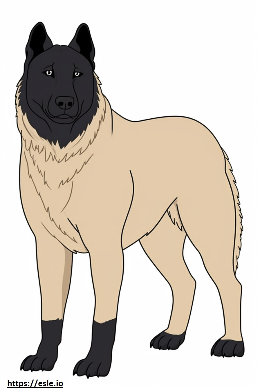 Norwegian Elkhound full body coloring page