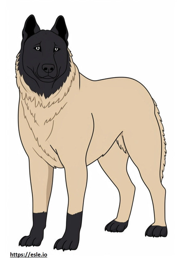 Elkhound norvegese a corpo intero da colorare