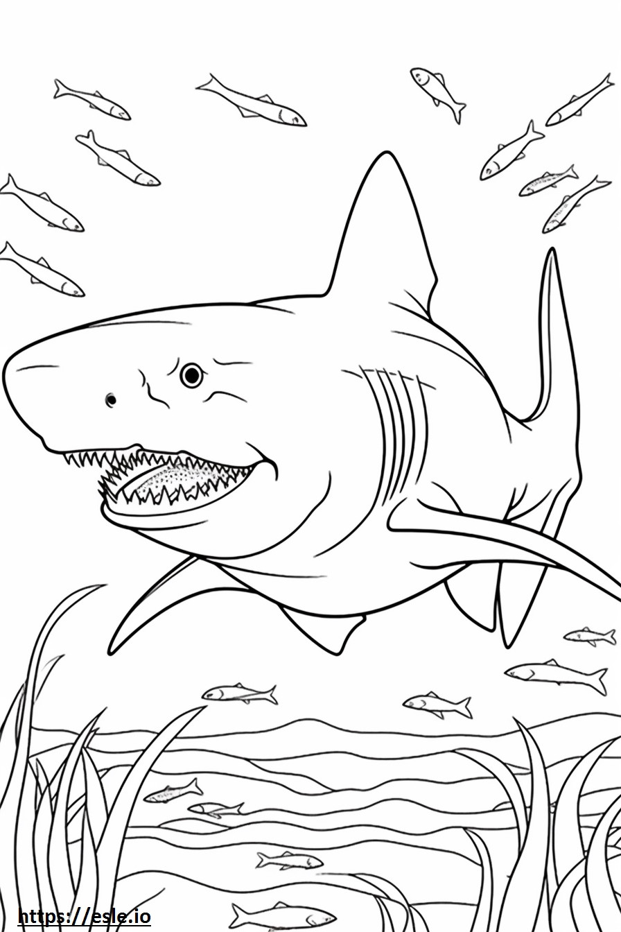 Coloriage Grand requin blanc mignon à imprimer