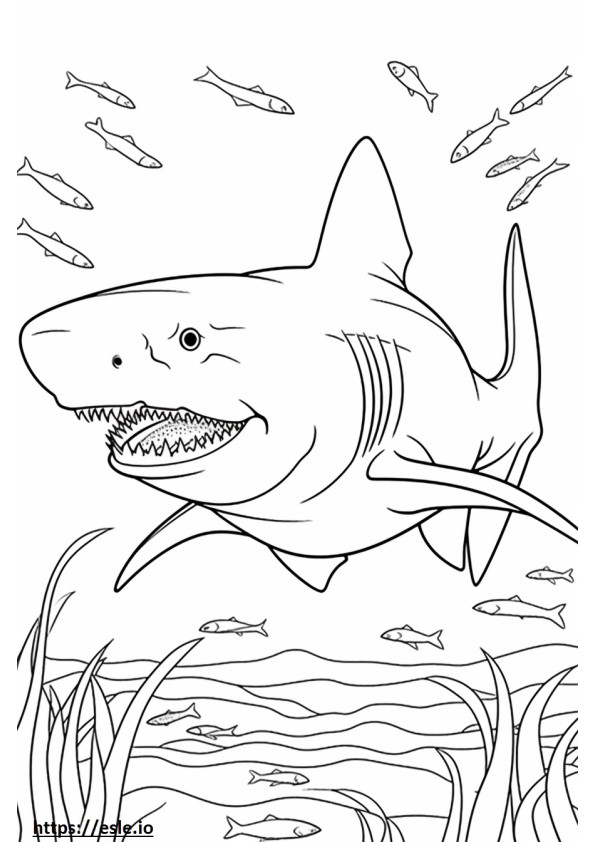 Grande Tubarão Branco fofo para colorir