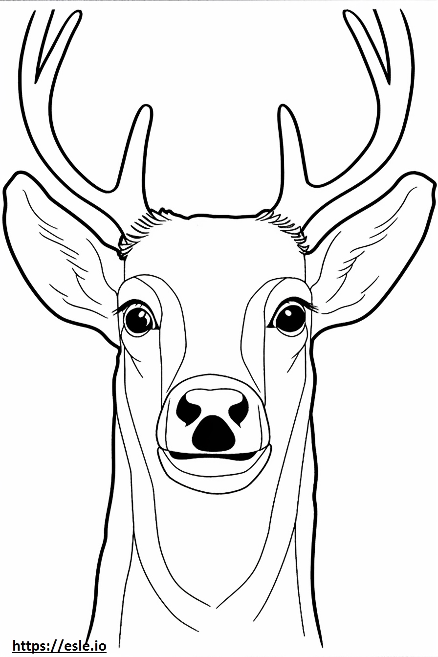 Père David’s Deer face coloring page