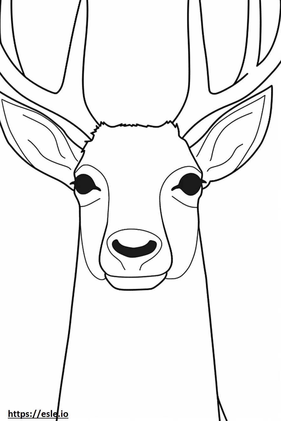 Père David’s Deer face coloring page
