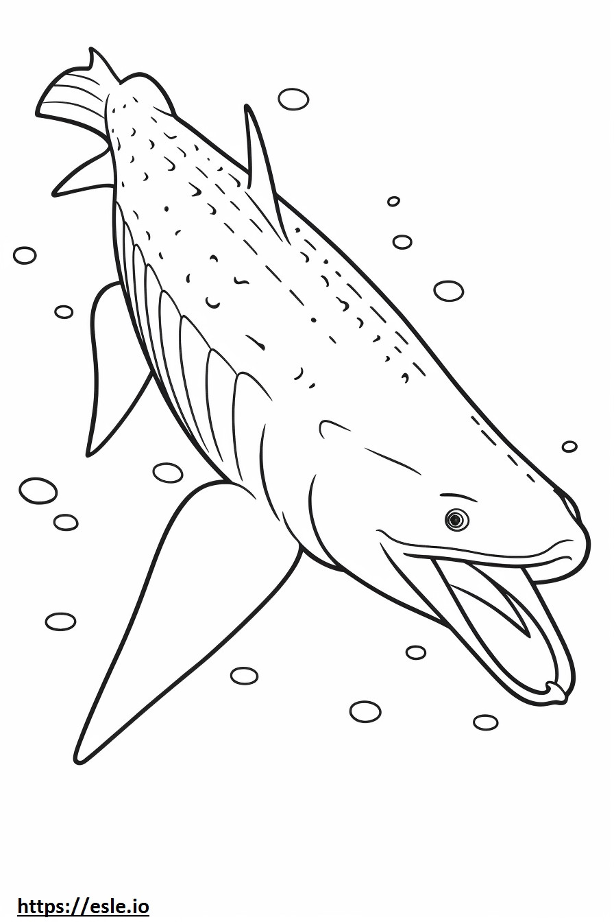 Tiburón ballena lindo para colorear e imprimir
