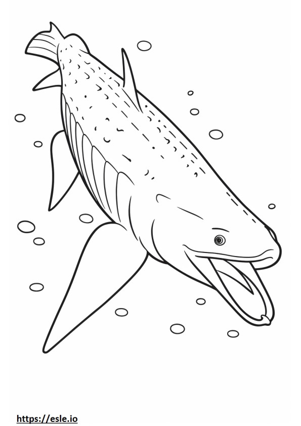 Tubarão-baleia fofo para colorir
