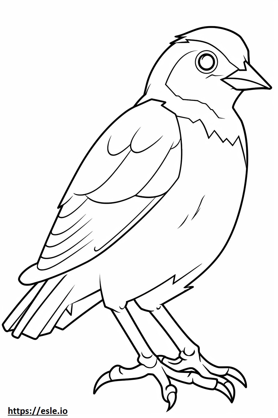 Myna uccello Kawaii da colorare