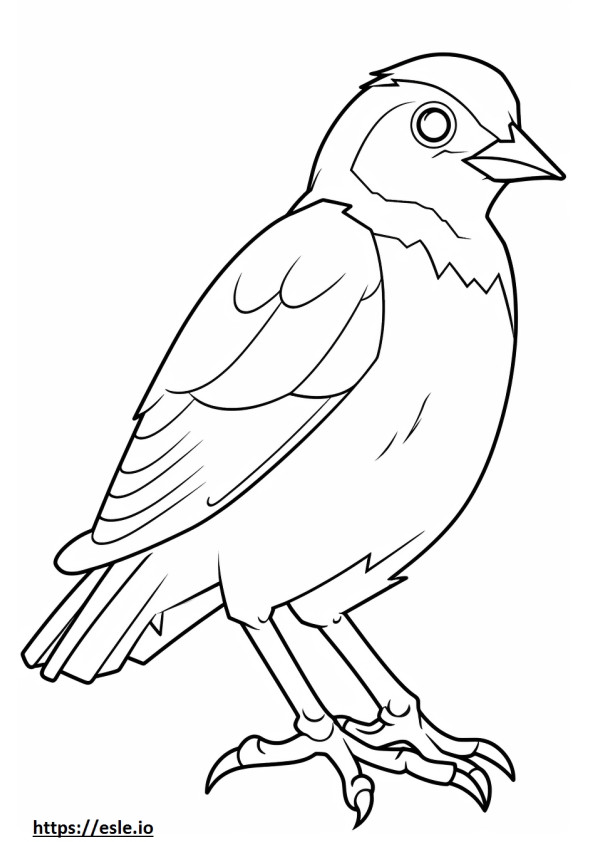 Myna uccello Kawaii da colorare