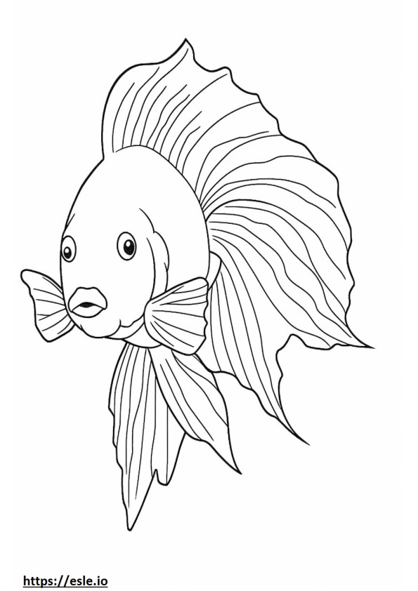 Betta Fish (Siamilainen taistelukala) söpö värityskuva
