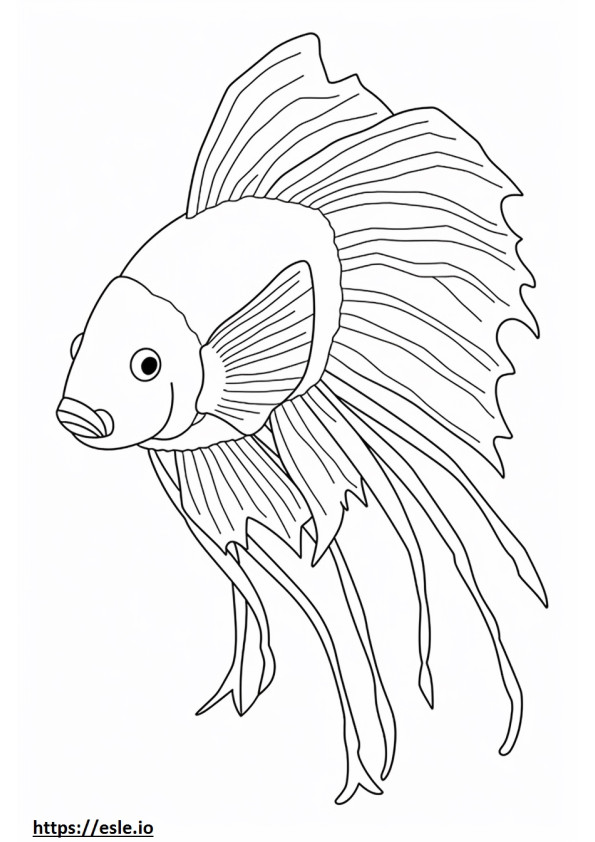 Pez Betta (pez luchador siamés) lindo para colorear e imprimir