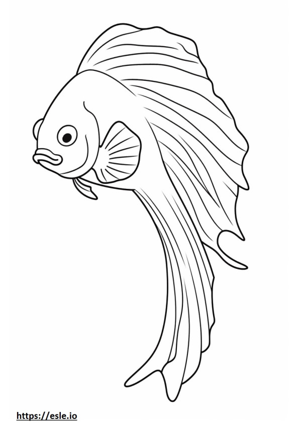 Betta Fish (Siamese Fighting Fish) cute coloring page