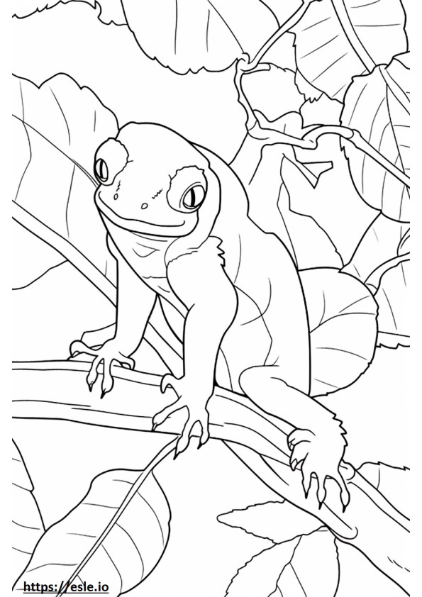 Coloriage Gecko à queue de feuille mignon à imprimer