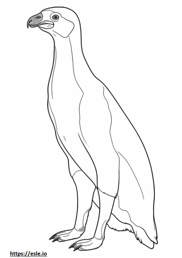 Magellanic Penguin full body coloring page