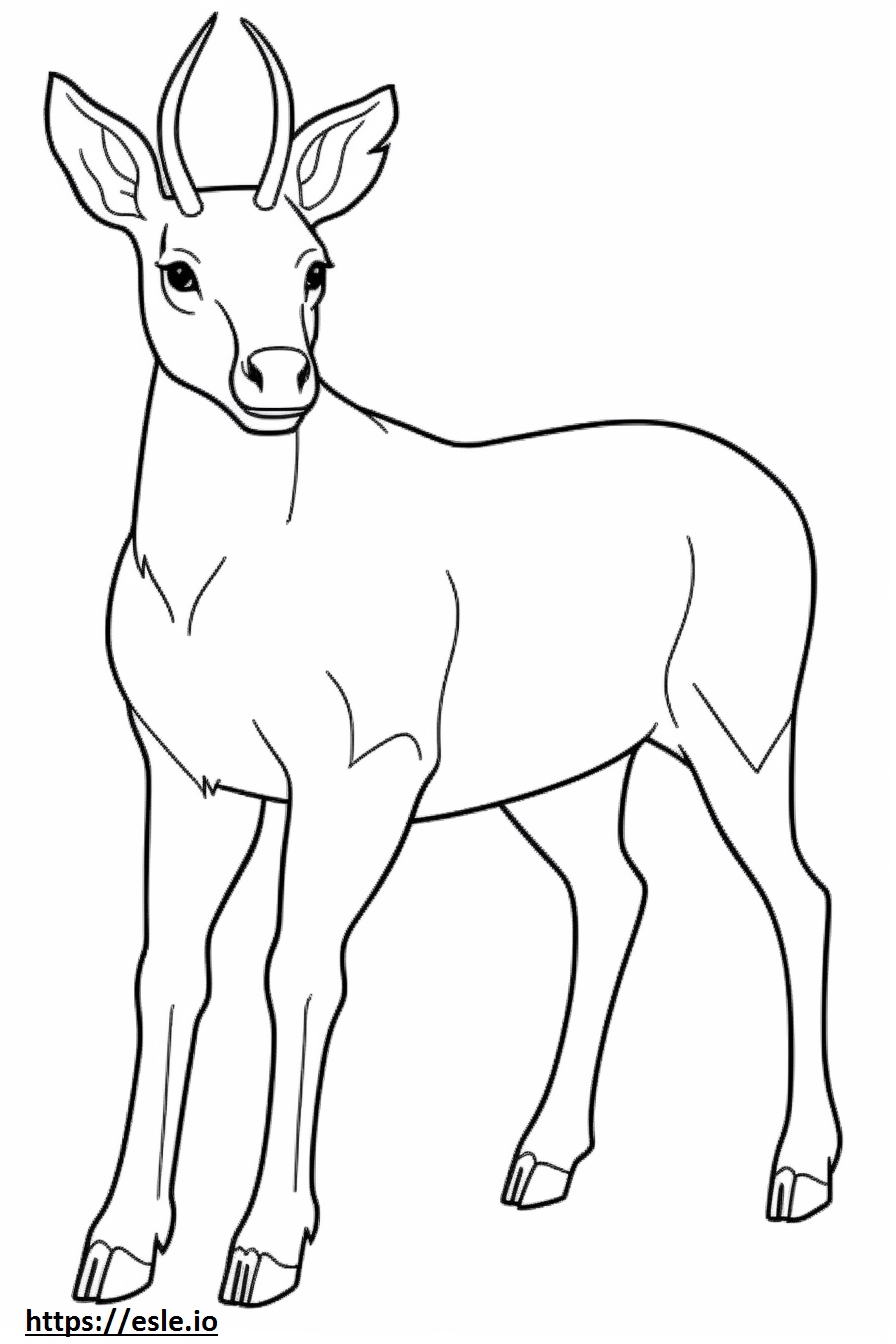 Dalmador cute 0 coloring page for kids