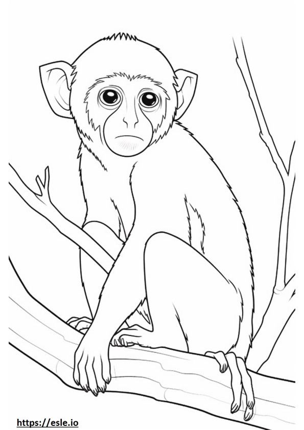 Scimmia Vervet Kawaii da colorare