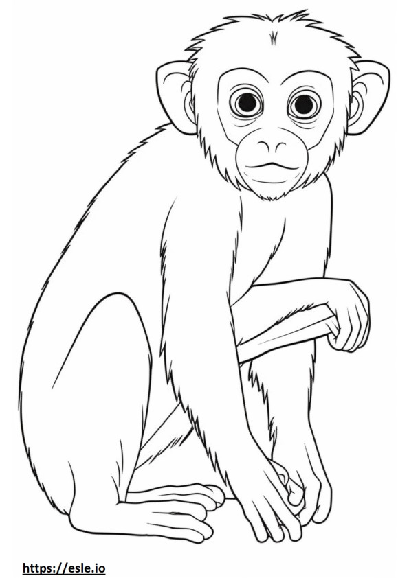 Vervet Maymunu Kawaii boyama
