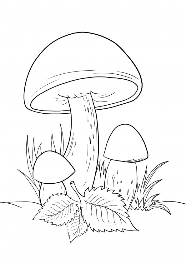 Easy and simple coloring of mushrooms to print for free image