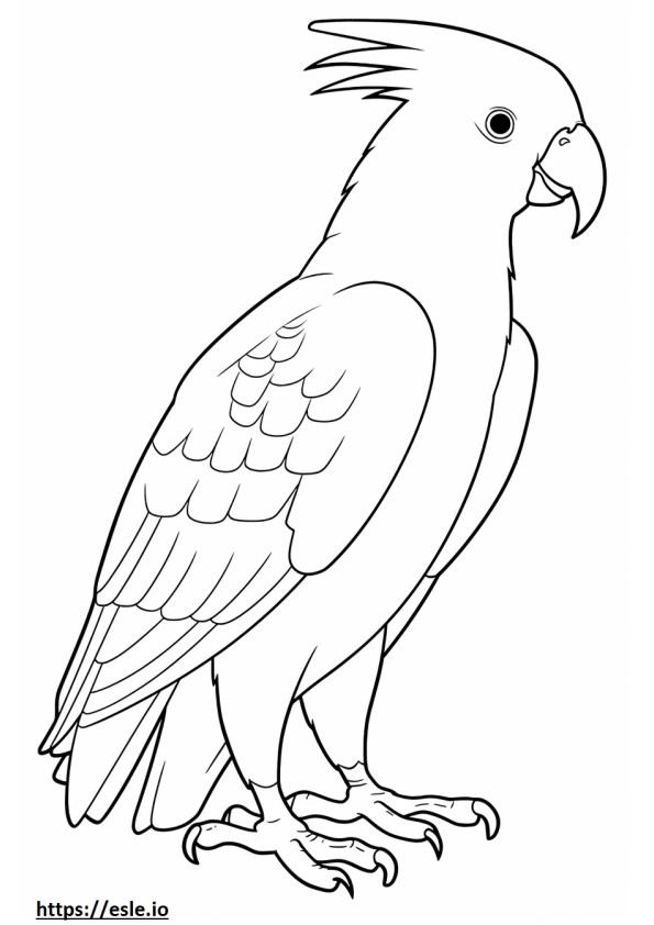 Cockatoo full body coloring page