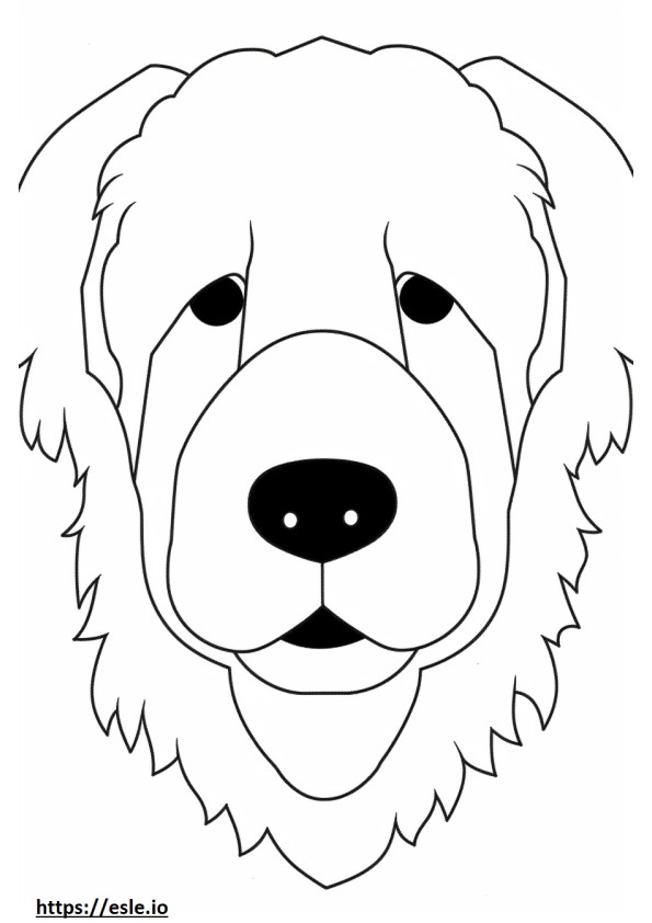 Mini-Labradoodle-Gesicht 2 zum Ausdrucken