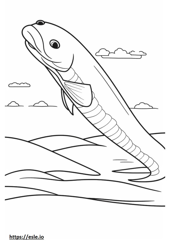 Freshwater Eel full body coloring page