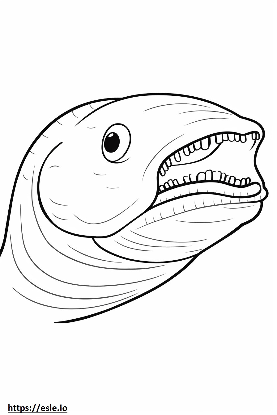 Cara de enguia de água doce para colorir