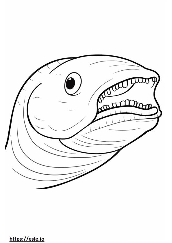 Cara de anguila de agua dulce para colorear e imprimir
