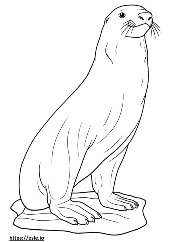 Meagle full body coloring page