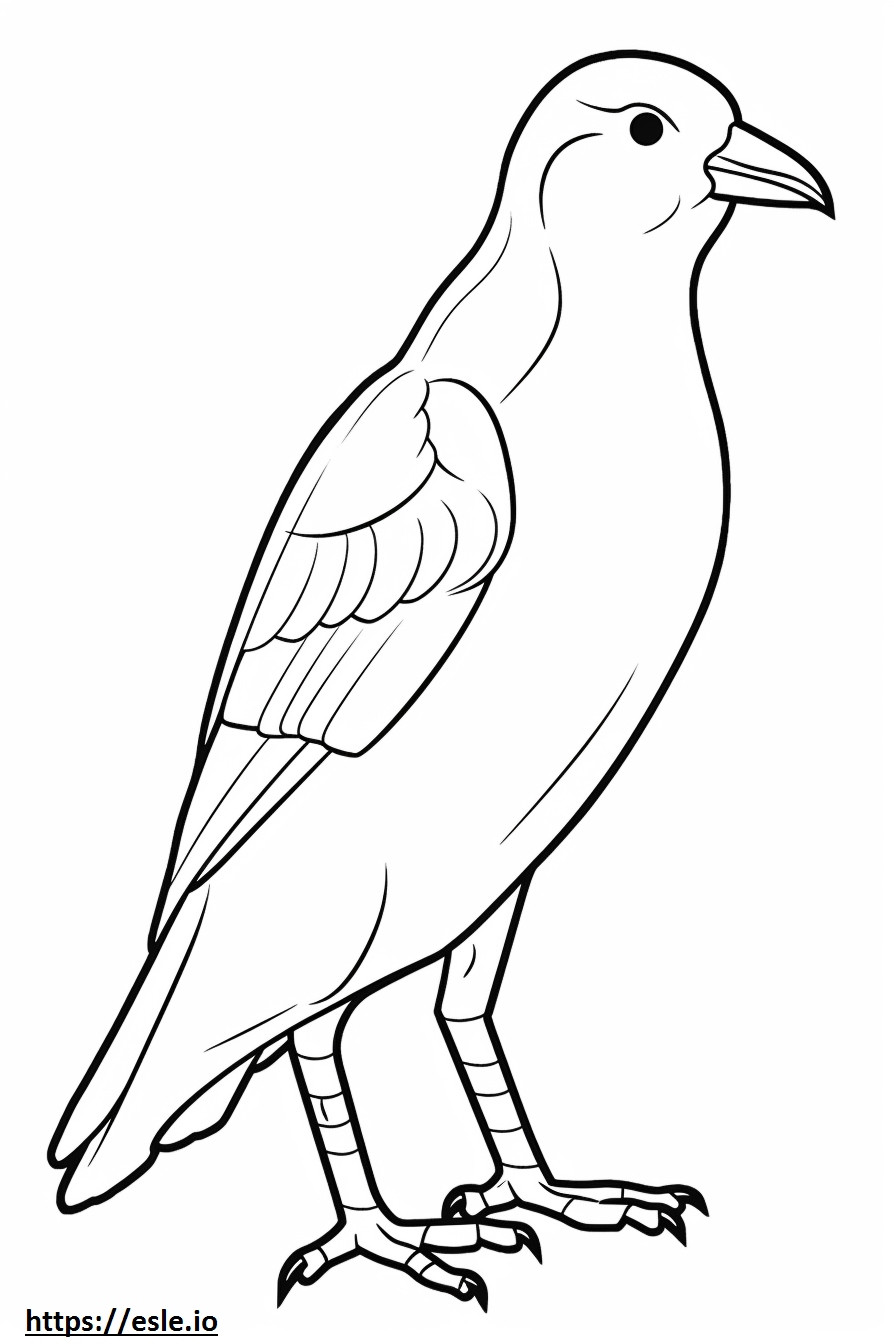 House Finch full body coloring page