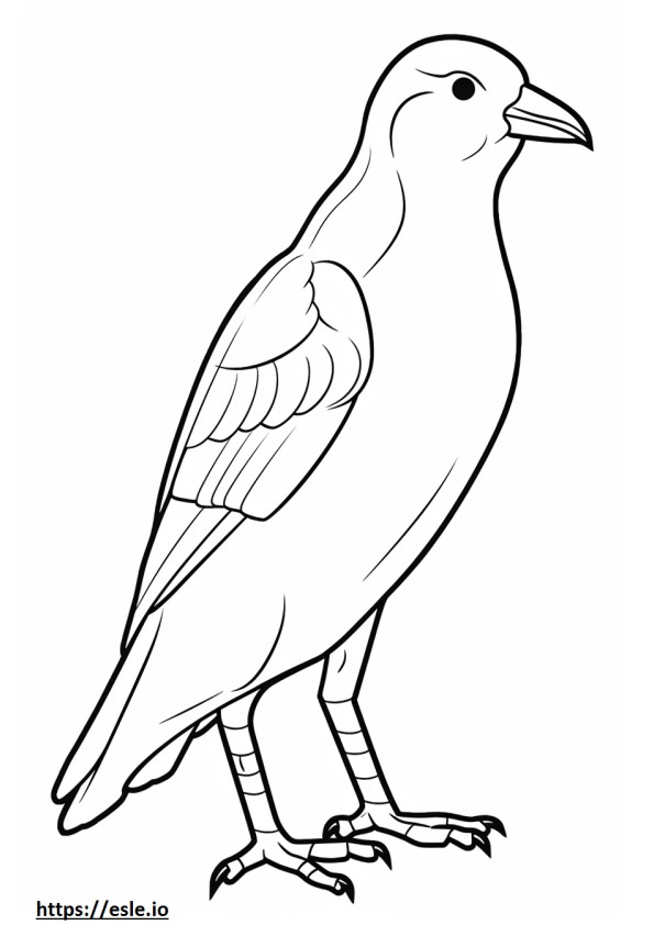 House Finch full body coloring page