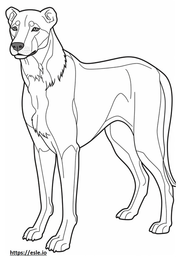 Mountain Cur full body coloring page