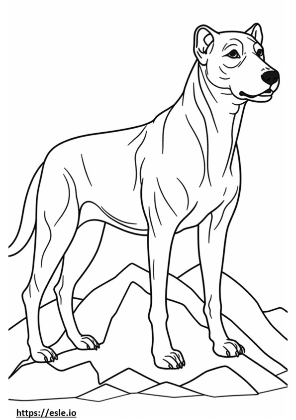 Mountain Cur full body coloring page