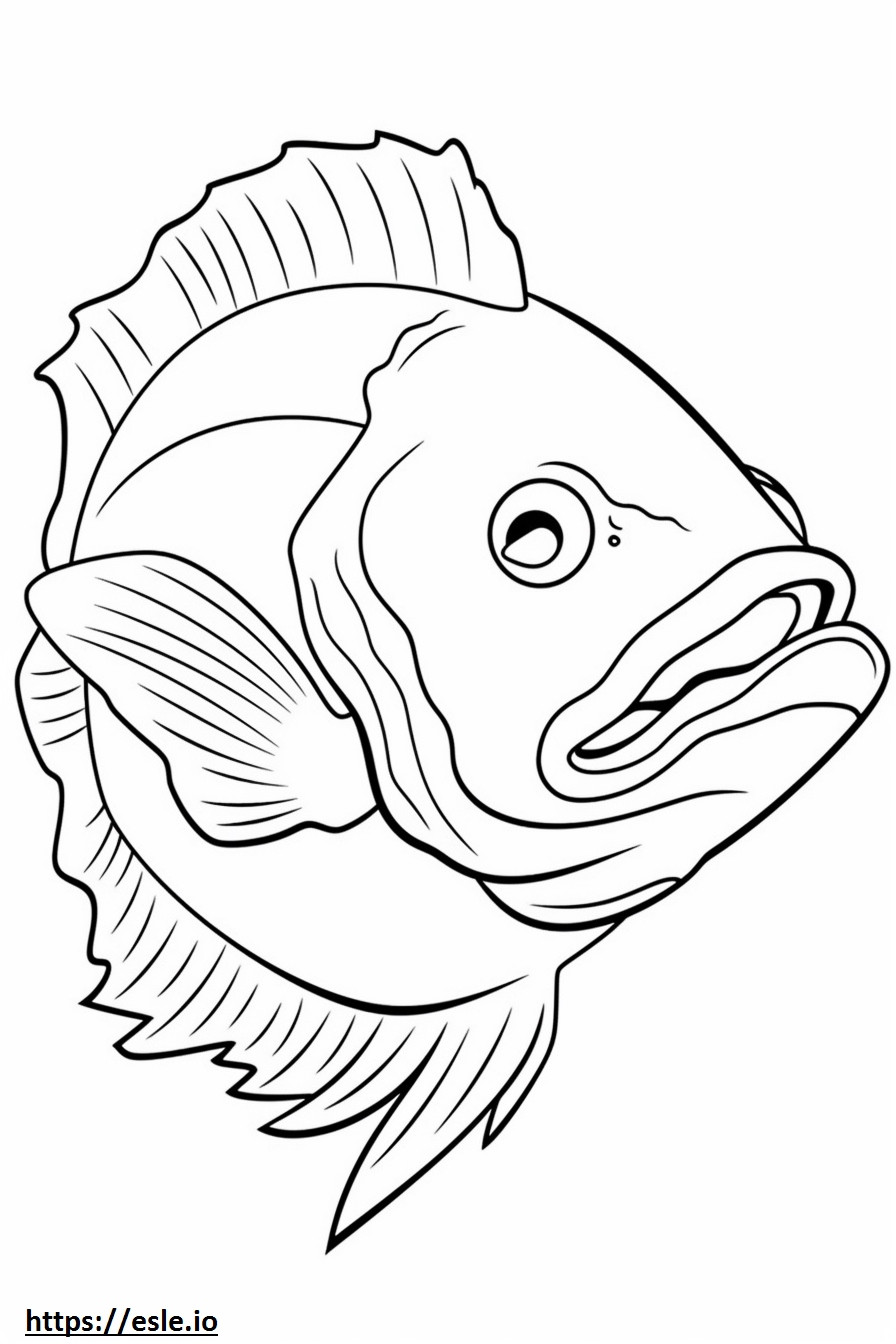 Ocean Perch face coloring page