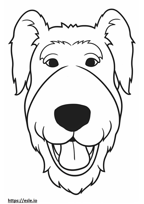 Wire Fox Terrier kasvot värityskuva