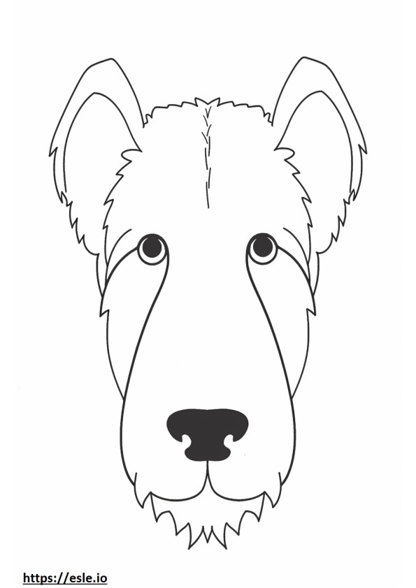 Rosto de Fox Terrier de arame para colorir