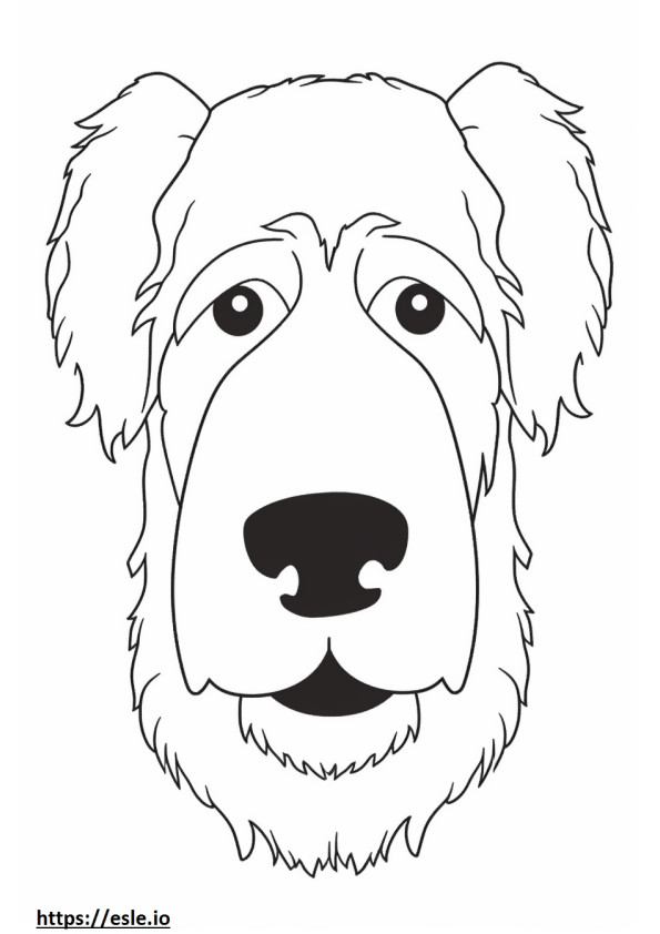 Cara de Fox Terrier de alambre para colorear e imprimir