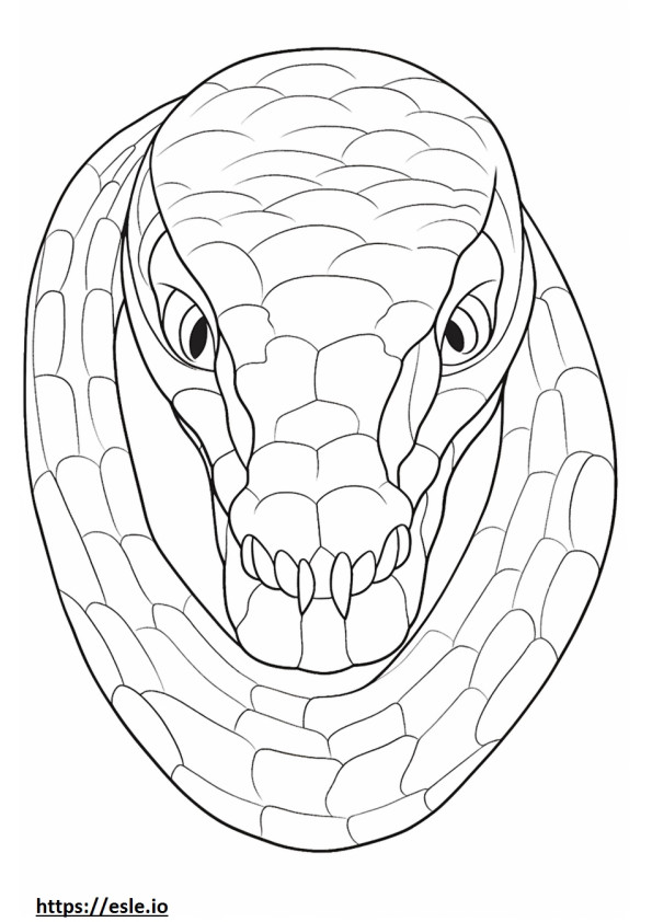 Coloriage Visage de serpent ratier japonais à imprimer