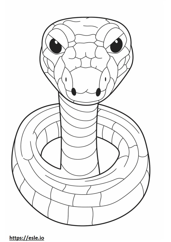 Japanilaisen rotan käärmeen kasvot värityskuva