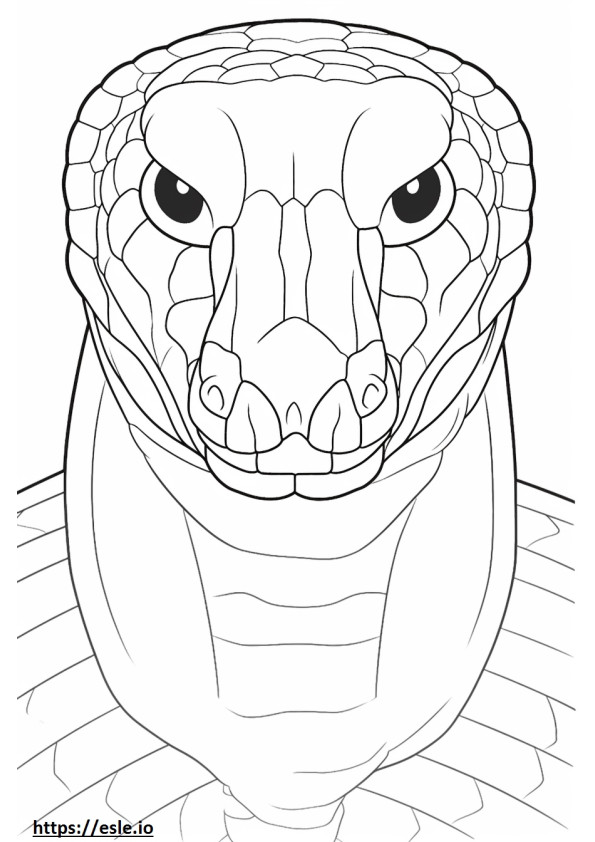 Japanilaisen rotan käärmeen kasvot värityskuva