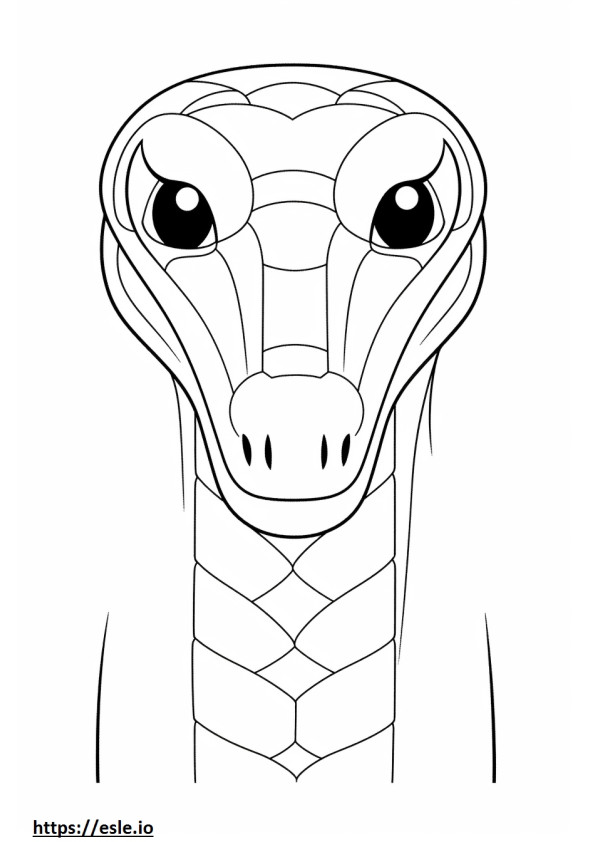 Japanese rat snake face coloring page