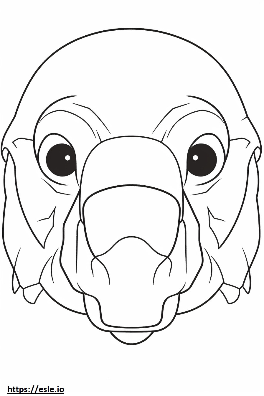 Pomeagle face coloring page