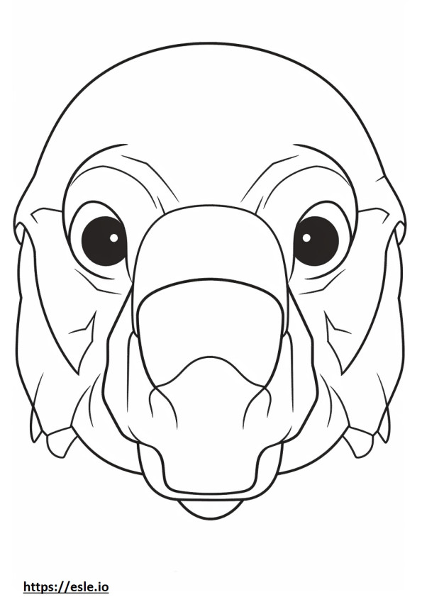 Pomeagle face coloring page