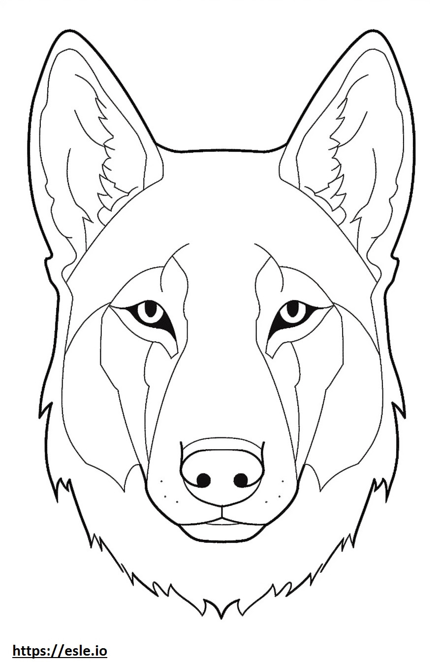 Cara de perro lobo checoslovaco para colorear e imprimir