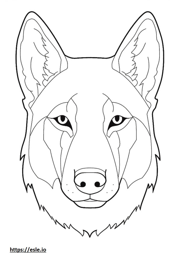 Czechoslovakian Wolfdog face coloring page