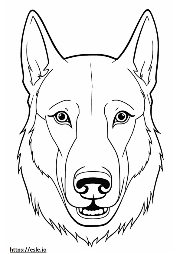 Tschechoslowakischer Wolfshund Gesicht ausmalbild