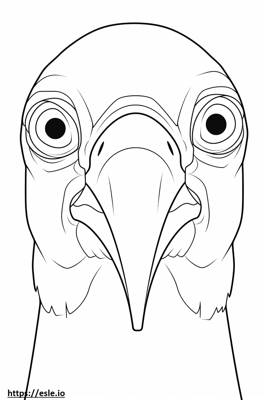 Hyacinth Macaw face coloring page