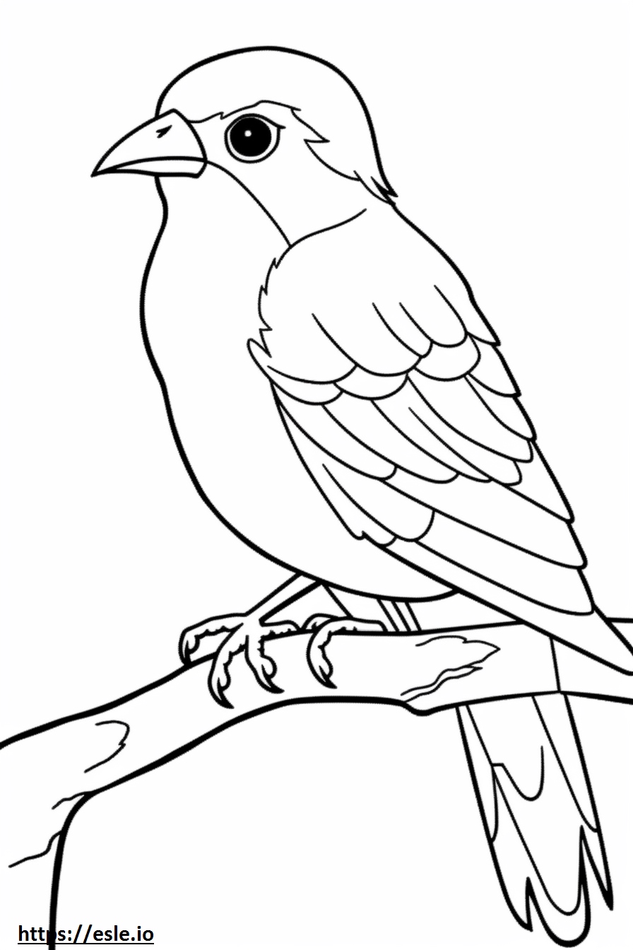 Western Tanager Cute Coloring Page
