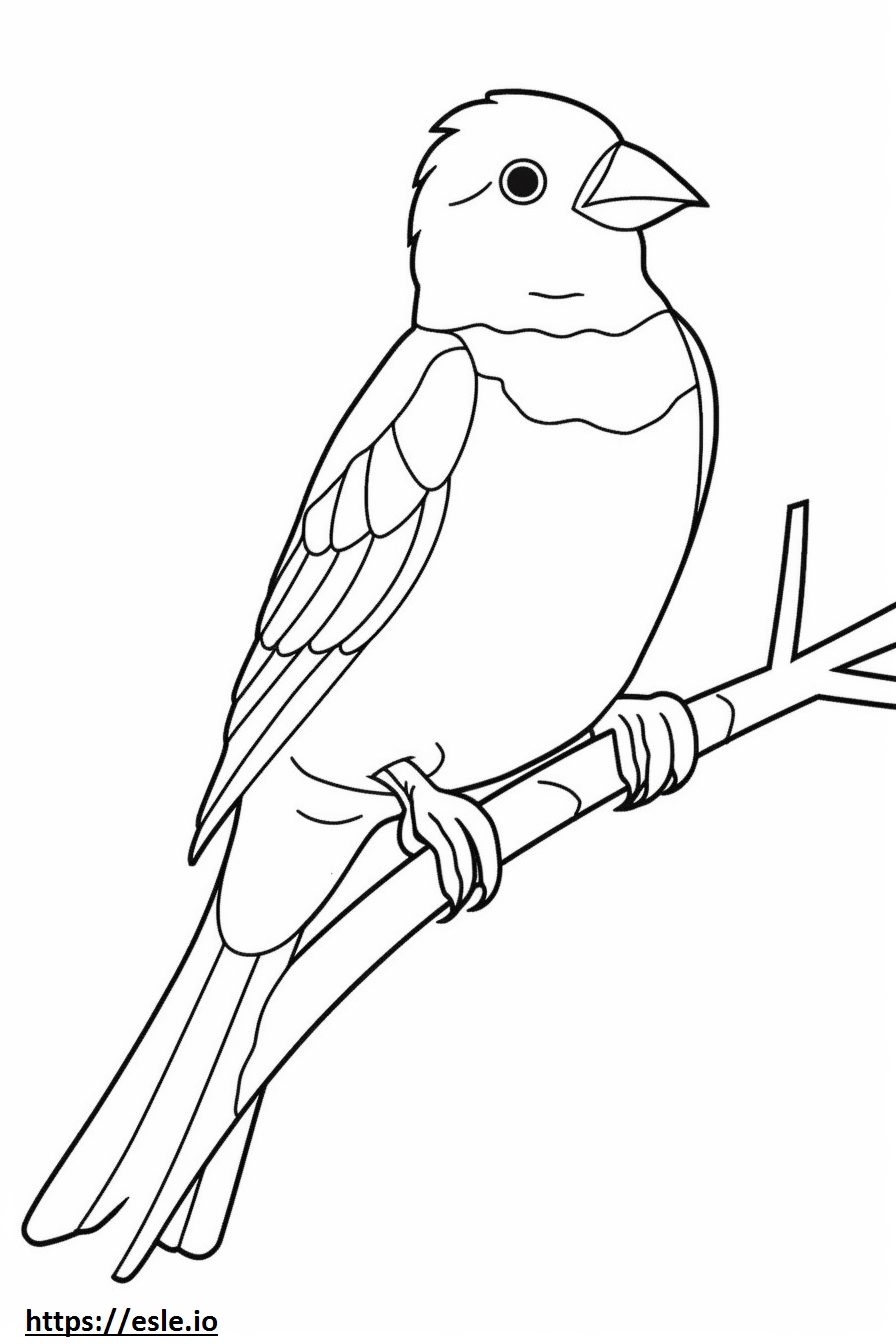 Dibujo para colorear de Tangara occidental linda 3
