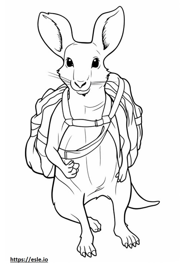 Kangaroo Rat cute 0