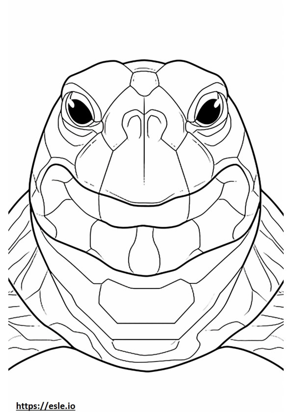 Cara de tortuga rusa 3
