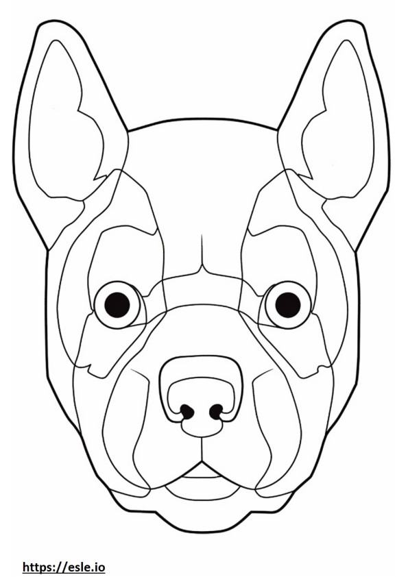 French Bulldog face 2